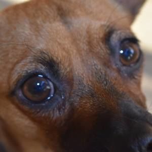 Meet your Posher, Todd